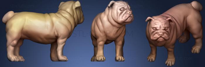 3D model Gold Bulldog (STL)